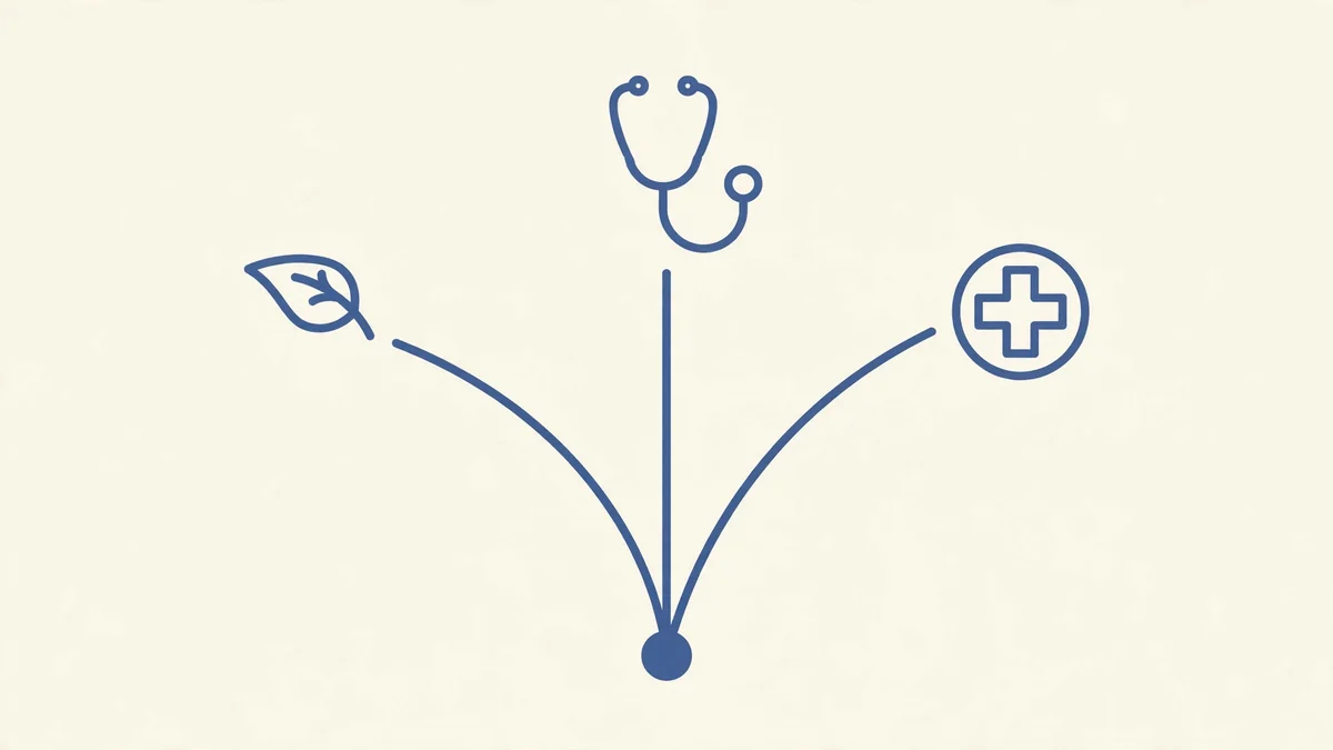 A flat slate-blue line illustration on cream showing three lines branching upward from a single dot to a leaf, a stethoscope and a medical cross in a circle.