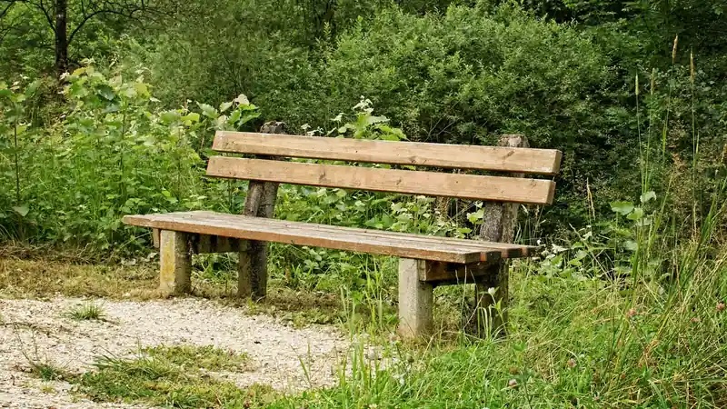 A quiet gravel trail through green trees with a bench at the edge