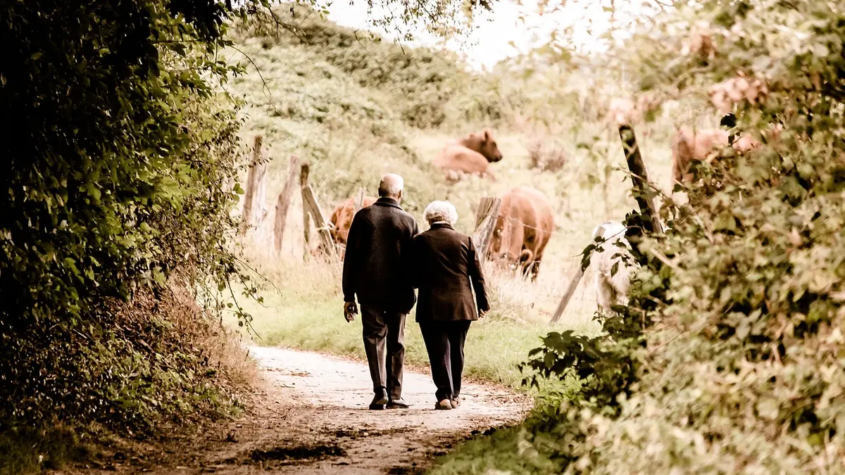Two adults walking side by side on a tree-lined path in soft autumn light