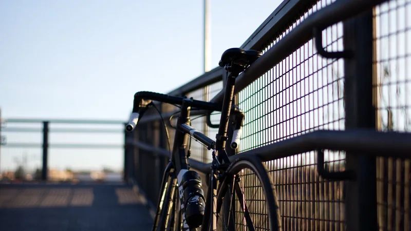 A road bicycle leaning against a garden fence in soft morning light