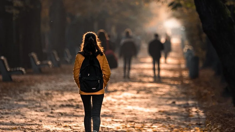A person walking on a tree-lined path in morning light, seen from behind