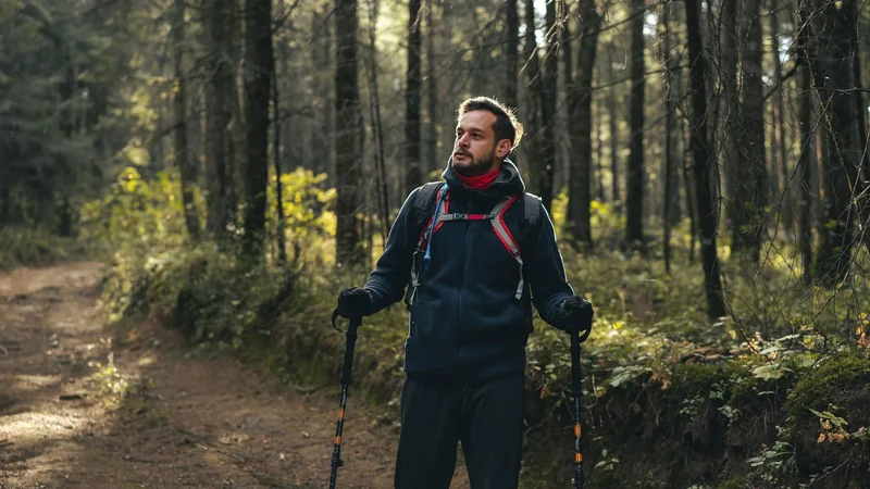 A hiker on a gravel trail with a pair of trekking poles, climbing a gentle slope through green trees on a sunny morning