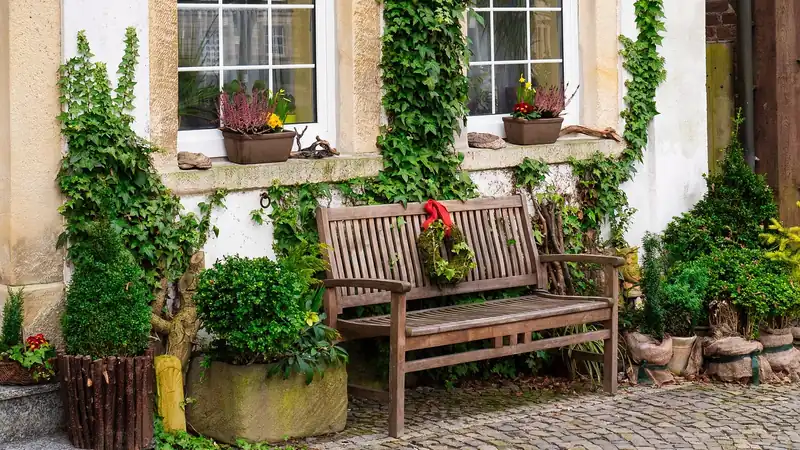 A quiet stone courtyard with a wooden bench and a small garden bed in soft morning light