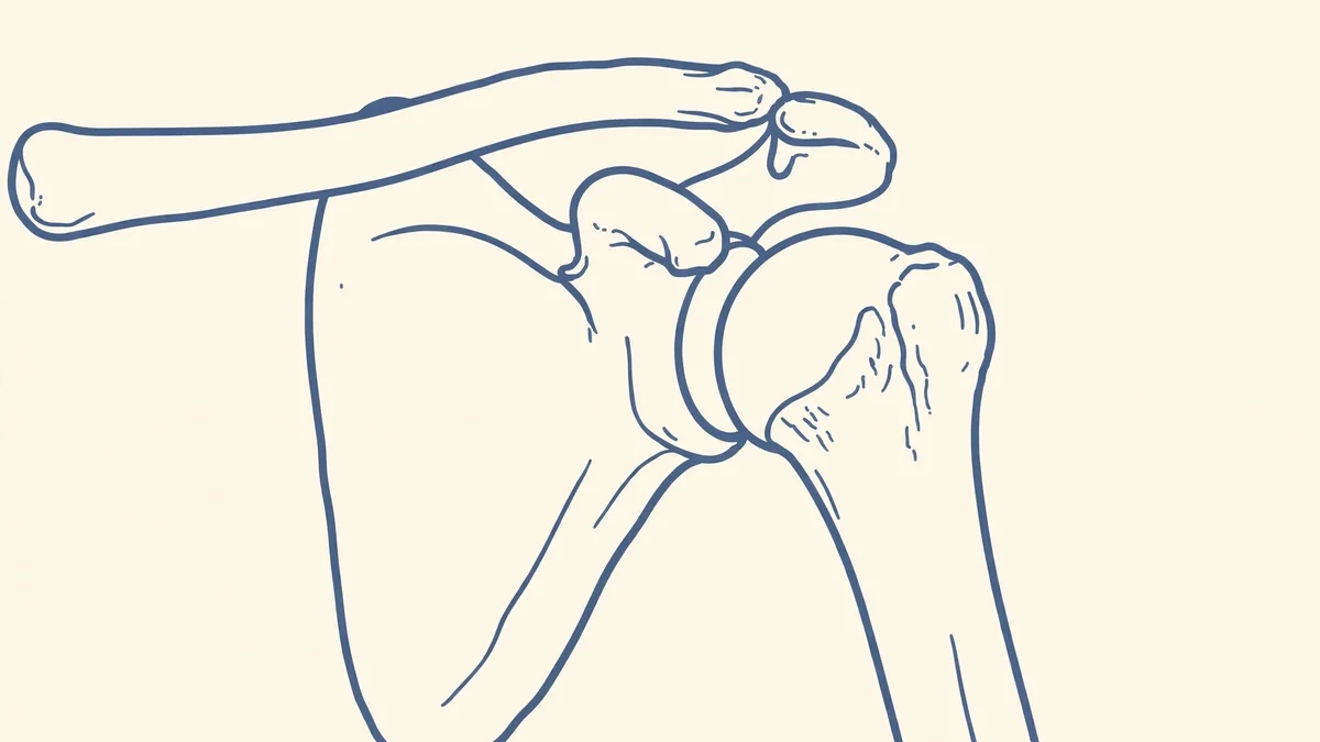 A simple line drawing of a shoulder joint on a plain light background