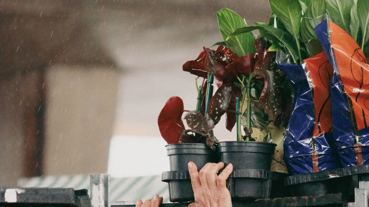 An older adult in a garden reaching up to a low shelf with a relaxed, confident posture, a watering can nearby.